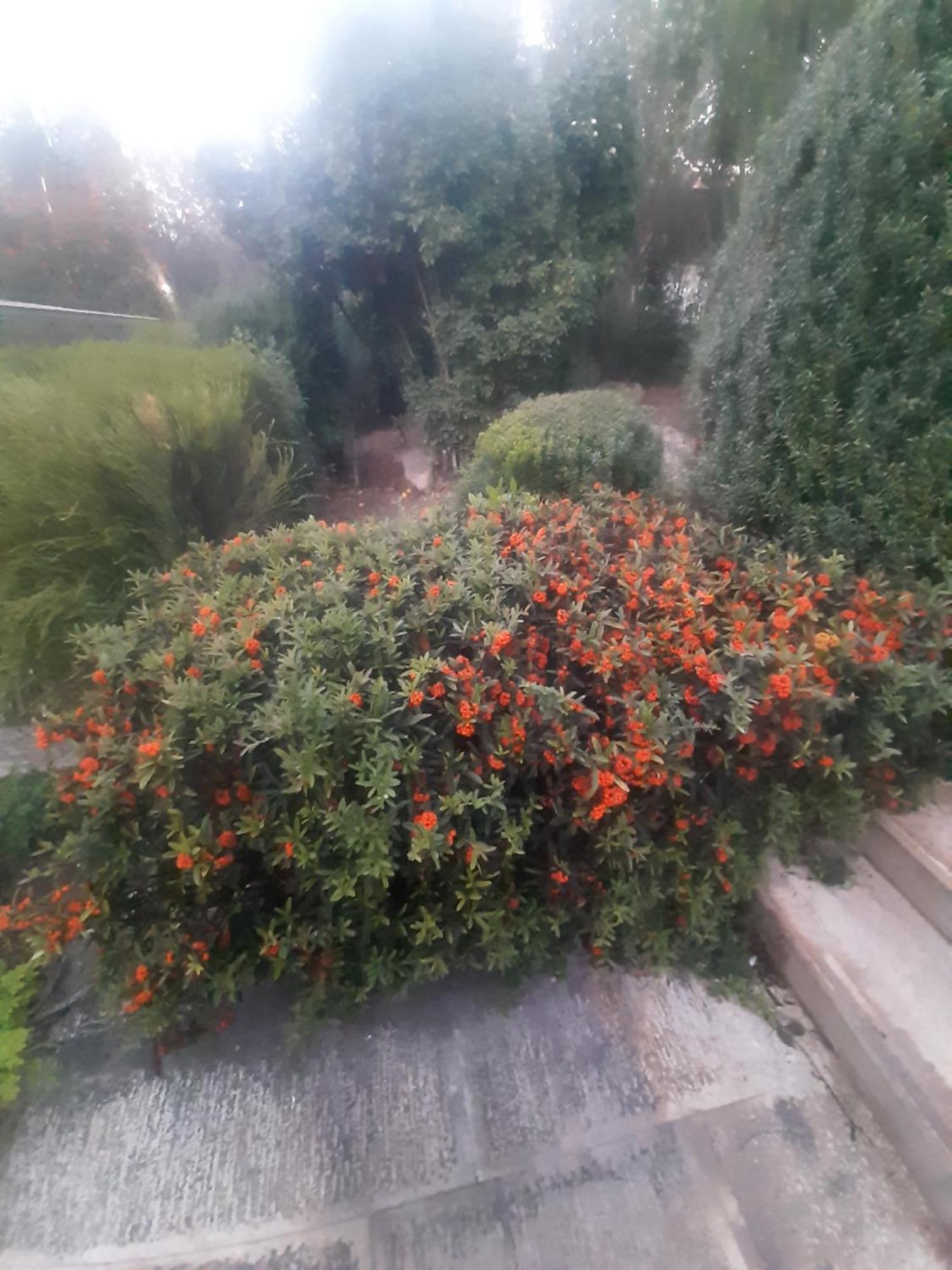 바리 The Orange Groove B&B 외부 사진